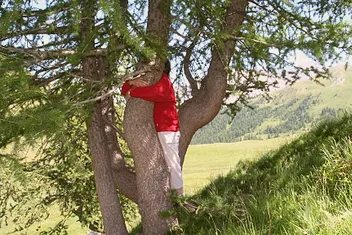 Une personne en rouge enlace un grand arbre dans un paysage de montagne