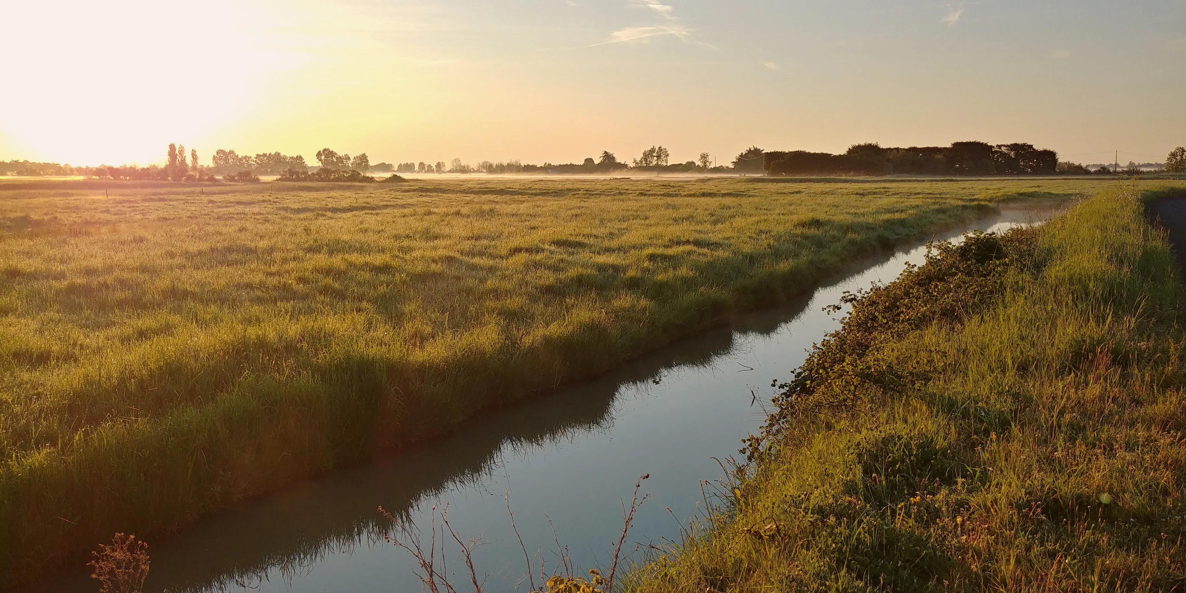 L'Appel de la Vendée