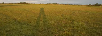 Ombre d'une silhouette s'étirant sur un champ d'herbe au crépuscule